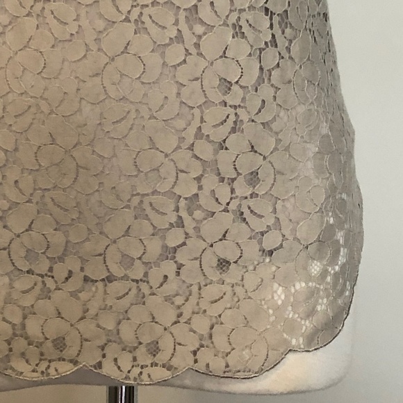 Like-New Grey Lace Talula/Aritzia 'Betsey' Top - Picture 6 of 13
